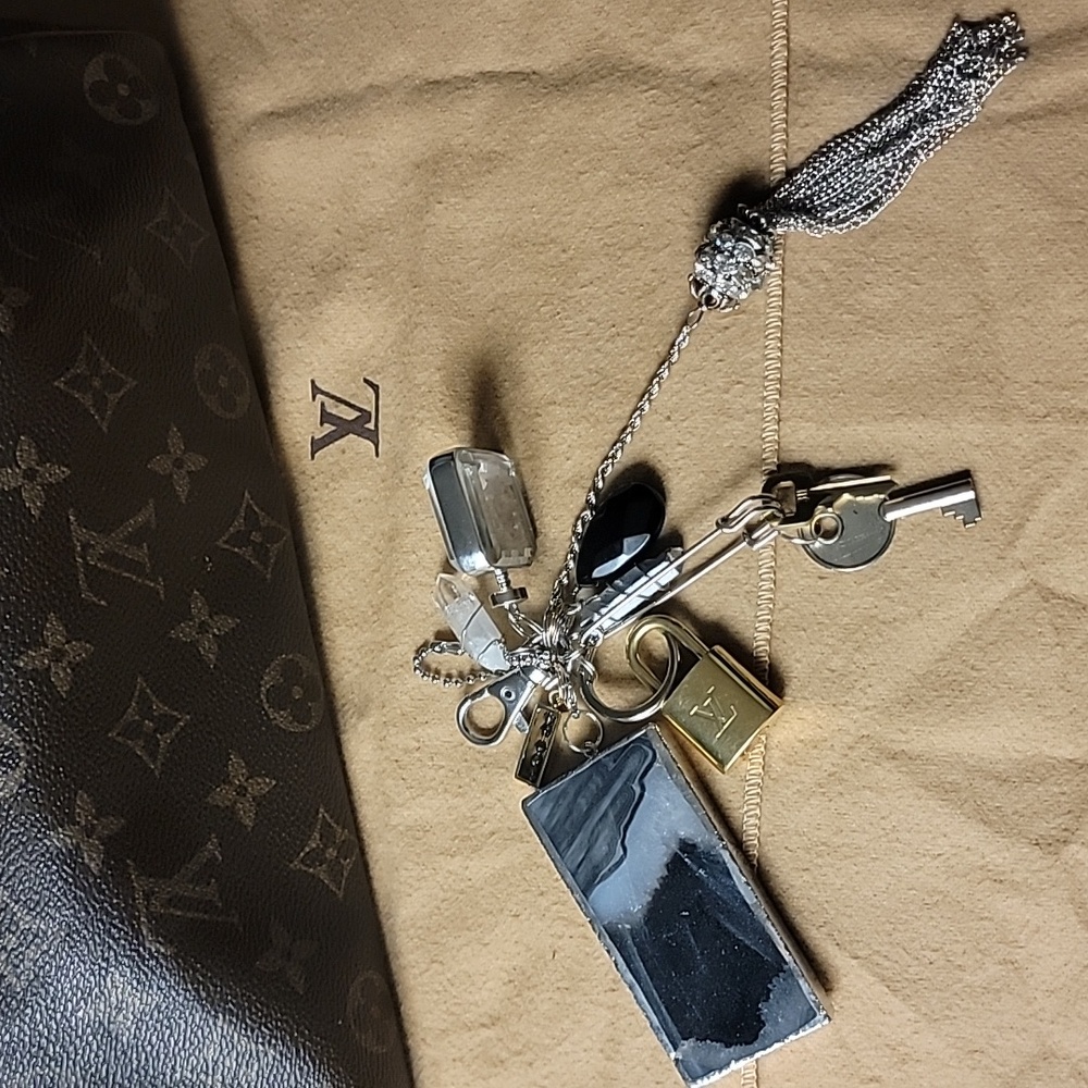 Louis Vuitton - Picture 12 of 17
